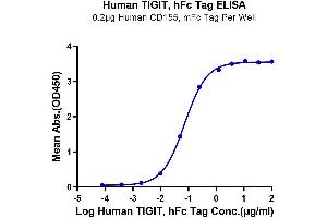 ELISA image for T Cell Immunoreceptor with Ig and ITIM Domains (TIGIT) (AA 22-141) protein (Fc Tag) (ABIN7275729)