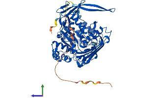 AlphaFold protein structure predicition of Mouse Recombinant Isyna1 Protein, UniprotID Q9JHU9 (ISYNA1 Protein (AA 1-557) (His tag))