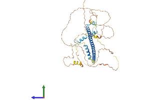 AlphaFold protein structure predicition of Human Recombinant CREB3L3 Protein, UniprotID Q68CJ9 (CREB3L3 Protein (AA 1-461) (His tag))