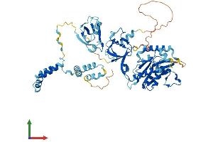 AlphaFold protein structure predicition of Mouse Recombinant Mpp7 Protein, UniprotID Q8BVD5