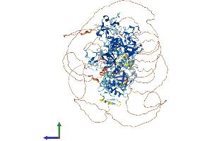 Protein Structure (PS) image for Wolf-Hirschhorn Syndrome Candidate 1 (WHSC1) (AA 1-1365) protein (His tag) (ABIN7564436)