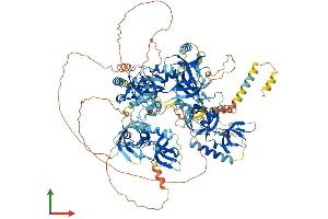 AlphaFold protein structure predicition of Human Recombinant TDRD1 Protein, UniprotID Q9BXT4