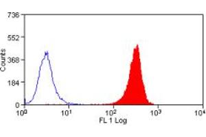 Image no. 1 for anti-Epithelial Cell Adhesion Molecule (EPCAM) antibody (ABIN298462) (EpCAM antibody)