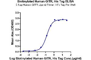Immobilized Human GITR Ligand Trimer, hFc Tag at 5 μg/mL (100 μL/well) on the plate. (TNFRSF18 Protein (AA 26-161) (His-Avi Tag,Biotin))