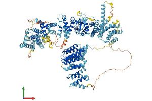 AlphaFold protein structure predicition of Mouse Recombinant Tango6 Protein, UniprotID Q8C3S2 (TANGO6/TMCO7 Protein (AA 1-1079) (His tag))