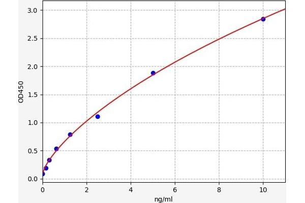 Neuroglobin ELISA Kit