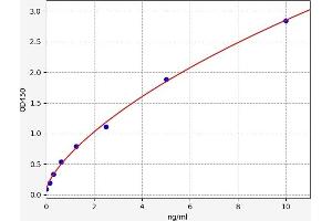 Typical standard curve (Neuroglobin ELISA Kit)
