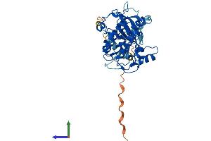 Protein Structure (PS) image for serum/glucocorticoid Regulated Kinase 2 (SGK2) (AA 1-367) protein (His tag) (ABIN7561840)