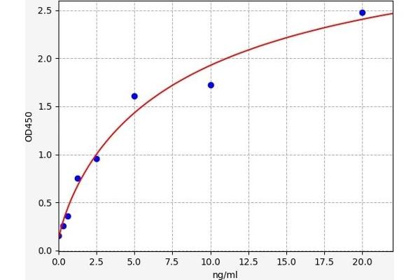 ERLIN1 ELISA Kit