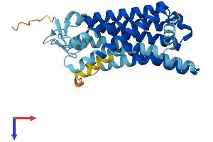 AlphaFold protein structure predicition of Human Recombinant OR13H1 Protein, UniprotID Q8NG92 (OR13H1 Protein (AA 1-308) (His tag))