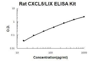Rat CXCL5 PicoKine ELISA Kit standard curve (CXCL5 ELISA Kit)
