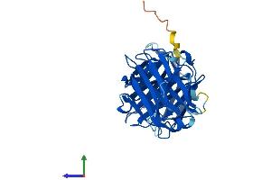 AlphaFold protein structure predicition of Mouse Recombinant Lgals12 Protein, UniprotID Q91VD1