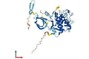 AlphaFold protein structure predicition of Human Recombinant CDK10 Protein, UniprotID Q15131 (CDK10 Protein (AA 1-360) (His tag))