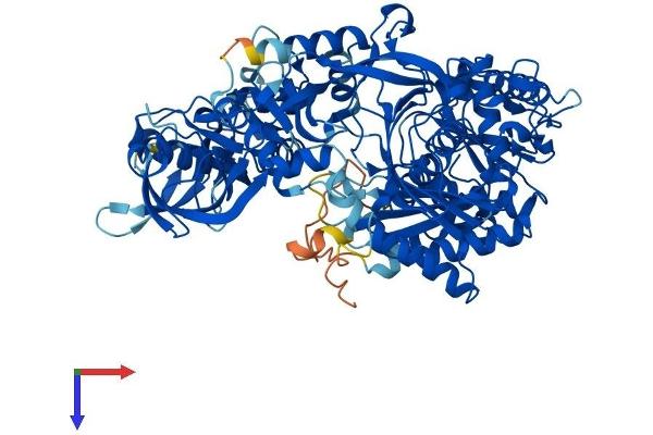 AGO4 Protein (AA 1-861) (His tag)