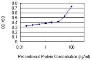 Detection limit for recombinant GST tagged NFAM1 is 10 ng/ml as a capture antibody. (NFAM1 antibody  (AA 187-269))