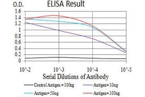 Black line: Control Antigen (100 ng),Purple line: Antigen (10 ng), Blue line: Antigen (50 ng), Red line:Antigen (100 ng) (RAD21 antibody  (AA 287-403))