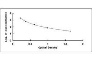 ELISA image for Transforming Growth Factor, beta 2 (TGFB2) ELISA Kit (ABIN4948087)
