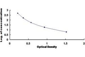 Transferrin ELISA Kit