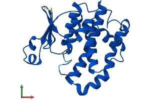 AlphaFold protein structure predicition of Mouse Recombinant Gstp2 Protein, UniprotID P46425
