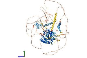 AlphaFold protein structure predicition of Human Recombinant ZFR Protein, UniprotID Q96KR1 (ZFR Protein (AA 1-1074) (His tag))