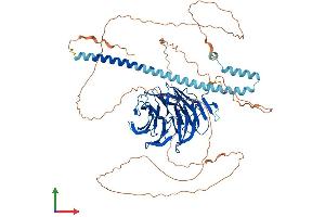 AlphaFold protein structure predicition of Mouse Recombinant Tle1 Protein, UniprotID Q62440 (TLE1 Protein (AA 1-770) (His tag))