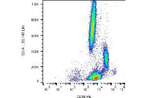 Flow cytometry analysis (surface staining) of human peripheral blood cells with anti-human CD98 (MEM-108) PE.