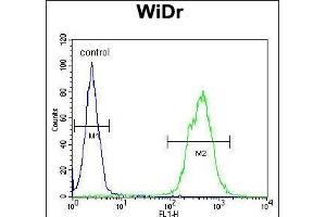 TOX3 Antibody (Center) (ABIN651009 and ABIN2840037) flow cytometric analysis of WiDr cells (right histogram) compared to a negative control cell (left histogram).