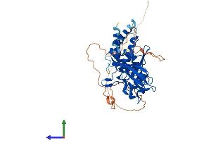 AlphaFold protein structure predicition of Mouse Recombinant Ptpn20 Protein, UniprotID O55082