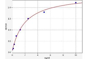 Typical standard curve (MAP2 ELISA Kit)
