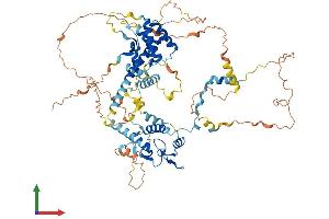 AlphaFold protein structure predicition of Mouse Recombinant Spire2 Protein, UniprotID Q8K1S6