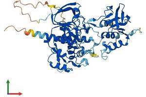 Protein Structure (PS) image for Oxidative Stress Induced Growth Inhibitor Family Member 2 (OSGIN2) (AA 1-505) protein (His tag) (ABIN7550562)