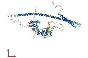 AlphaFold protein structure predicition of Human Recombinant KLC3 Protein, UniprotID Q6P597 (KLC3 Protein (AA 1-504) (His tag))