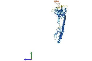 AlphaFold protein structure predicition of Mouse Recombinant Trim30a Protein, UniprotID P15533 (TRIM30 Protein (AA 1-496) (His tag))