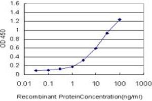 ELISA image for anti-A Kinase (PRKA) Anchor Protein 17A (AKAP17A) (AA 53-157) antibody (ABIN599035) (SFRS17A antibody  (AA 53-157))