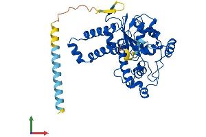 Protein Structure (PS) image for Tyrosylprotein Sulfotransferase 1 (TPST1) (AA 1-370) protein (His tag) (ABIN7562526)
