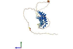 AlphaFold protein structure predicition of Human Recombinant KATNBL1 Protein, UniprotID Q9H079 (KATNBL1 Protein (AA 1-304) (His tag))