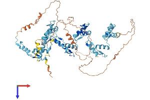 Protein Structure (PS) image for Zinc Finger Protein 613 (ZNF613) (AA 1-617) protein (His tag) (ABIN7545479)
