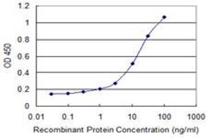 Detection limit for recombinant GST tagged DECR1 is 0. (DECR1 antibody  (AA 236-335))