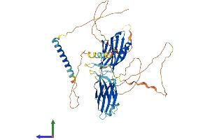 AlphaFold protein structure predicition of Human Recombinant SYT14 Protein, UniprotID Q8NB59 (SYT14 Protein (AA 1-555) (His tag))