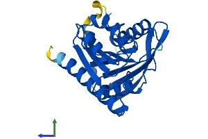 Protein Structure (PS) image for Chromosome 13 Open Reading Frame 27 (C13orf27) (AA 1-227) protein (His tag) (ABIN7544340)