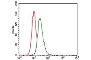 Flow Cytometry (FACS) image for anti-Low Density Lipoprotein Receptor-Related Protein 5 (LRP5) antibody (ABIN1108063) (LRP5 antibody)