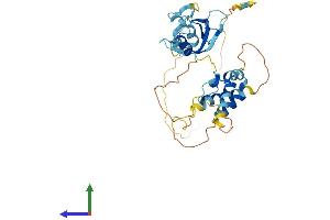 AlphaFold protein structure predicition of Mouse Recombinant Cd2bp2 Protein, UniprotID Q9CWK3