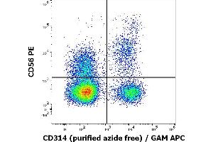 Flow cytometry multicolor surface staining pattern of human lymphocytes stained using anti-human CD314 (1D11) purified antibody (azide free, concentration in sample 2 μg/mL) GAM APC and anti-human CD56 (LT56) PE antibody (10 μL reagent / 100 μL of peripheral whole blood). (KLRK1 antibody)