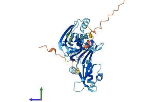Protein Structure (PS) image for Dead End Homolog 1 (DND1) (AA 1-353) protein (His tag) (ABIN7547080)