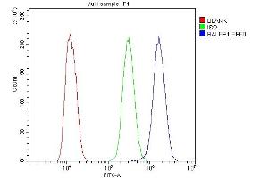 Flow Cytometry analysis of U20S cells using anti-RALBP1 antibody (ABIN5692936).