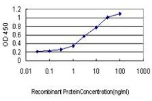 Detection limit for recombinant GST tagged UBE2G2 is approximately 0. (UBE2G2 antibody  (AA 1-87))