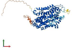 AlphaFold protein structure predicition of Mouse Recombinant Slc6a12 Protein, UniprotID P31651 (SLC6A12 Protein (AA 1-614) (His tag))
