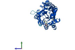 Protein Structure (PS) image for Uroporphyrinogen III Synthase (UROS) (AA 1-265) protein (His tag) (ABIN7563375)