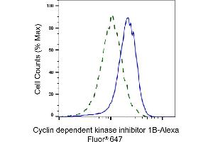Validation of Cyclin dependent kinase inhibitor 1B knockdown using flow cytometry. (Recombinant CDKN1B antibody)