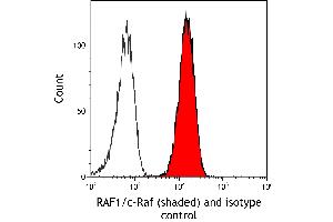 Flow Cytometry (FACS) image for anti-V-Raf-1 Murine Leukemia Viral Oncogene Homolog 1 (RAF1) (AA 300-350) antibody (ABIN7795692) (Recombinant RAF1 antibody  (AA 300-350))